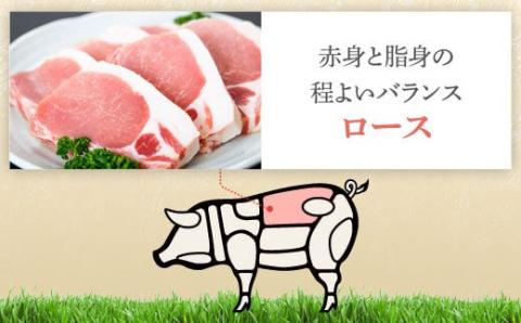 鹿児島県産厚切り豚ロースステーキ用〈約1㎏〉