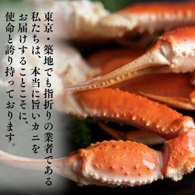 ふるさと納税 大洗町 ボイル 本ずわいがに肩 1kg 4肩 (500g×2) AF015 |  | 01