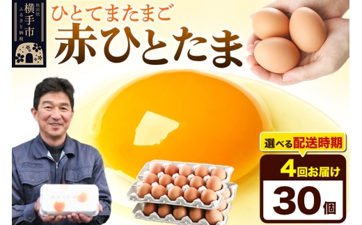 【常温発送】《定期便4ヶ月》赤ひとたま 30個（業務用）【発送時期が選べる】東海林養鶏場 赤ひとたま 卵 玉子 たまご タマゴ 4か月 4ヵ月 4カ月 4ケ月 開始時期選べる [東海林養鶏場 赤ひとた