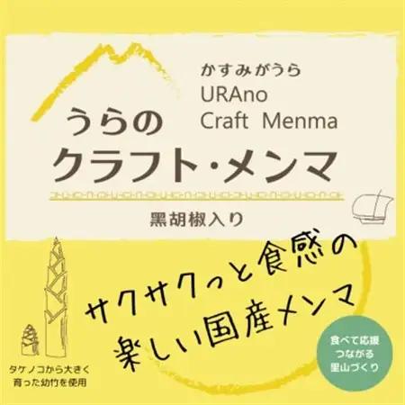 【国産メンマ】サクサクとした食感が楽しい♪かすみがうら産「うらの クラフト・メンマ」100g×2PC【1697558】