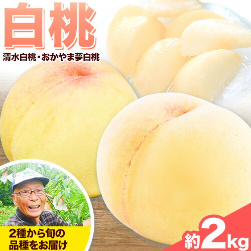 【ふるさと納税】 【先行予約】桃 岡山 約2kg 6〜8玉 白桃 岡山県産 岡山の桃 おかやま夢白桃 清水白桃 おまかせ ブランド桃 旬 果物 フルーツ 甘い 先行予約 《7月中旬-8月上旬頃出荷》仁科農園