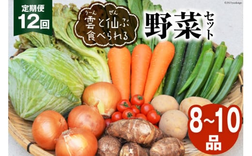 
										
										12回 定期便 雲（う～ん）と仙（ぜん）ぶ食べられる 野菜セット 8～10品 [肥前グローカル 長崎県 雲仙市 item1395] 野菜セット 野菜 セット 詰め合わせ
									