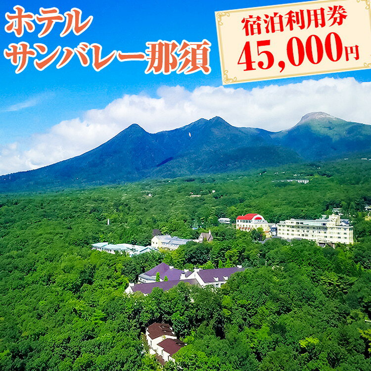 【ふるさと納税】ホテルサンバレー那須 宿泊利用券 45,000円分｜宿泊 旅行 チケット 宿泊券 旅行券 旅 トラベル リゾート 温泉 家族旅行 夏休み お盆 避暑地 露天風呂 国内旅行 記念日 贅沢 ご褒美 観光 人気 ファミリー 那須 栃木県 那須町〔H-13〕※着日指定不可