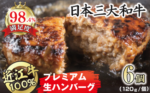 近江牛１００％　プレミアム生ハンバーグ　720g（約120g×6個）【FO18U】