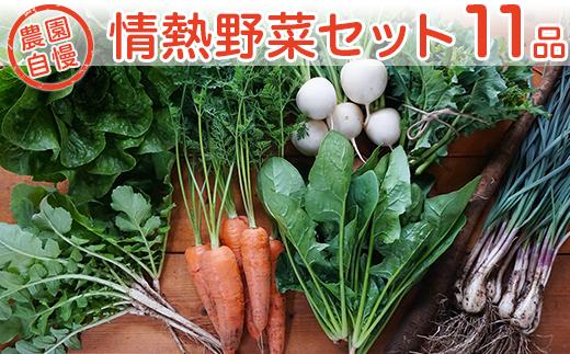 農園自慢の情熱野菜セット（11品）【 やさいセット 野菜詰合せ 野菜詰め合わせ 農園 おまかせ おまかせセット 】