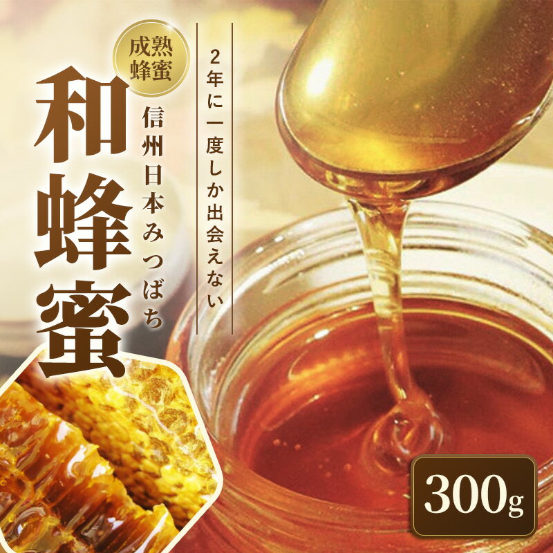 【ふるさと納税】信州日本みつばち 和蜂蜜（300g）　お届け：20日以内に発送いたします