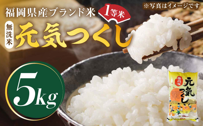
            【先行予約】【令和7年産】福岡県産ブランド米「元気つくし」無洗米 5kg【2025年11月以降順次発送】《築上町》【株式会社ゼロプラス】 [ABDD002] お米 白ご飯 元気つくし ブランド米 おにぎり 22000円
          