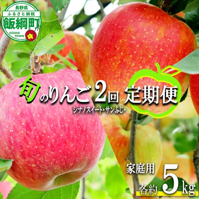 りんご 旬の甘味りんご 【 定期便 】 シナノスイート サン