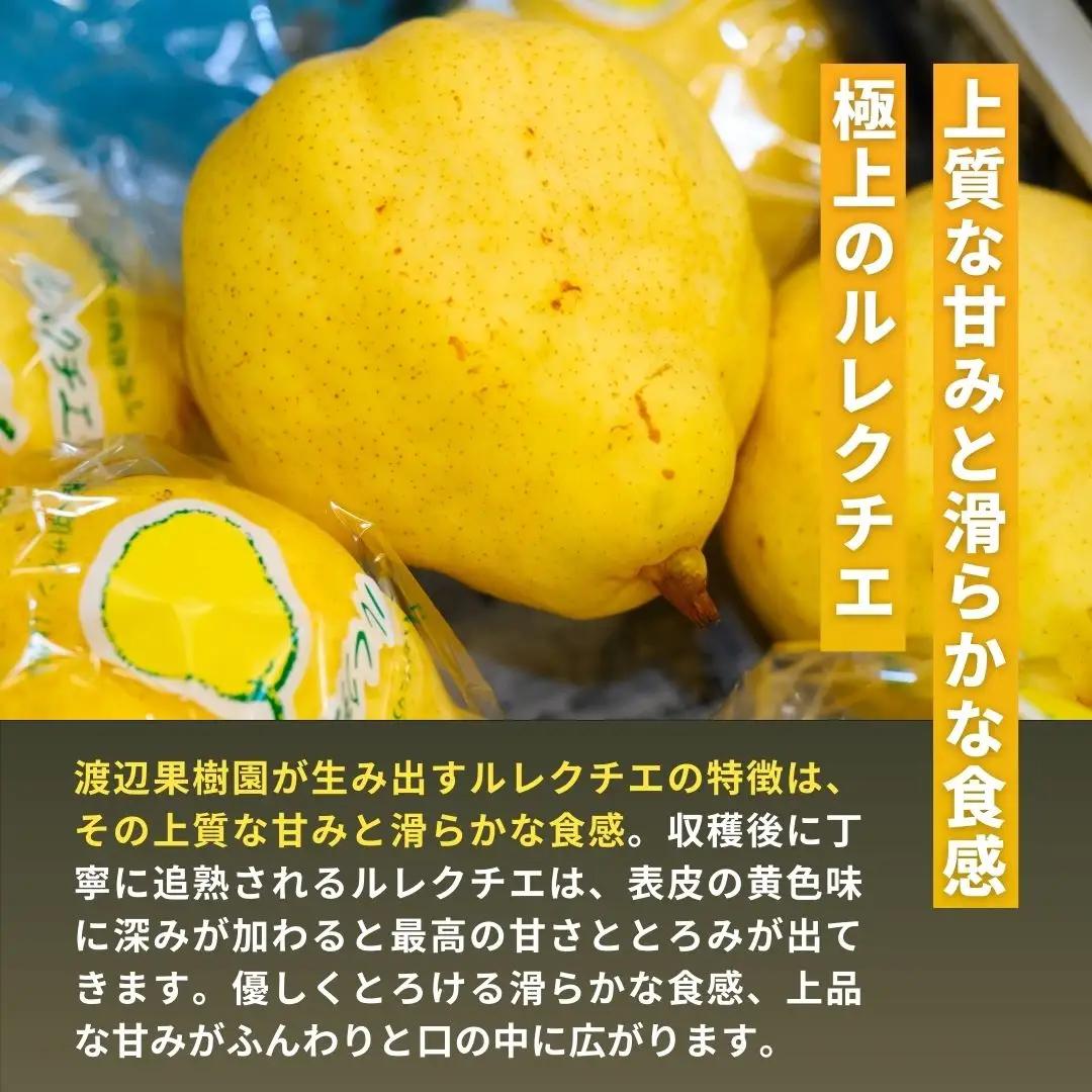 先行予約 ル レクチェ 3kg (6~10玉) 令和8年度 西洋梨 贈答用  ル レクチエ 洋梨 化粧箱 洋ナシ ル・レクチェ [渡辺果樹園]