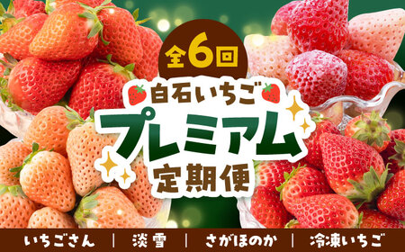 【先行予約 2027年1月〜発送】【6回定期便】プレミアム！ いちご食べ比べ いちご