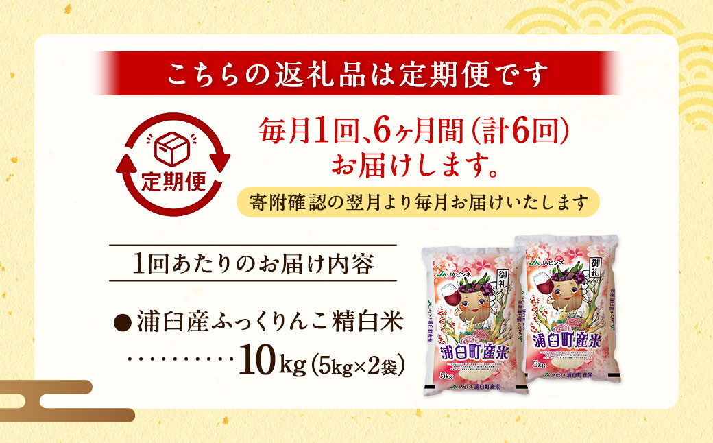 【6回定期便】浦臼産ふっくりんこ 精白米 10kg（5kg×2袋）