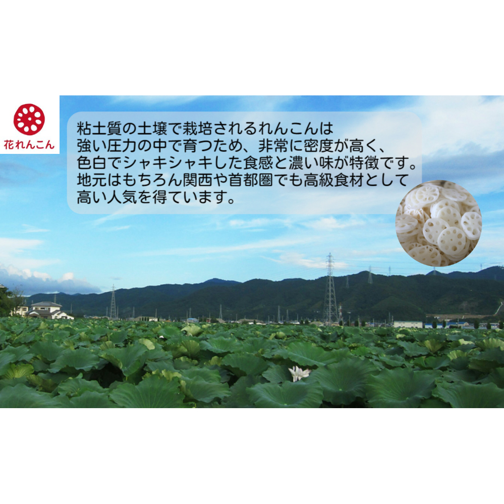 花れんこんの『れんこんポタージュ』　710g（5人前）×2袋　280g（2人前）×3袋_イメージ4