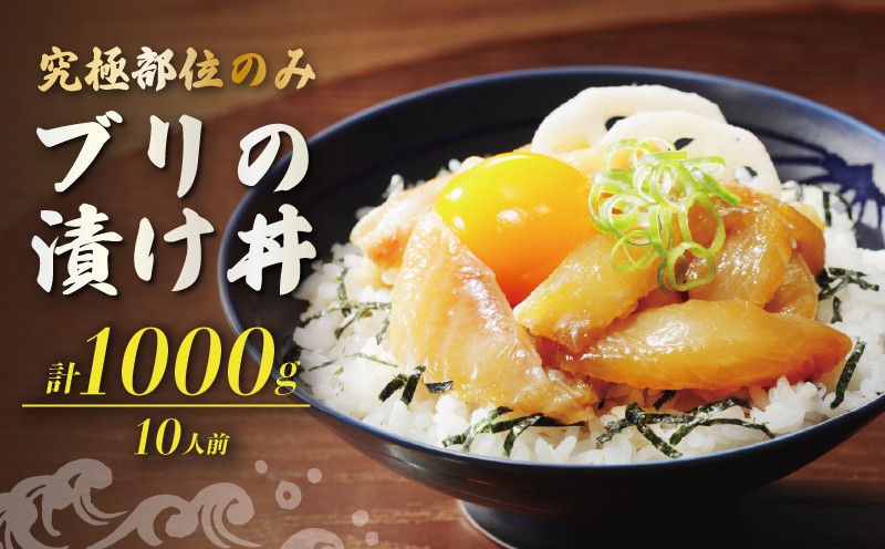 
                  希少部位のみ ブリの漬け丼 100g 10パック つのとろ 大トロ ぶり 鰤 漬け 漬け丼 希少部位 希少 トロ 小分け 冷凍 カンタン ごはん の お供 アレンジ イタリアン バスタ パン フランスパン アレンジ サラダ パスタ 簡単調理 簡単 魚 さかな 和食 洋食 晩ご飯 お酒 つまみ 丼 どんぶり丼物 ハマスイ 愛媛県愛南町 愛媛県 愛南町
                