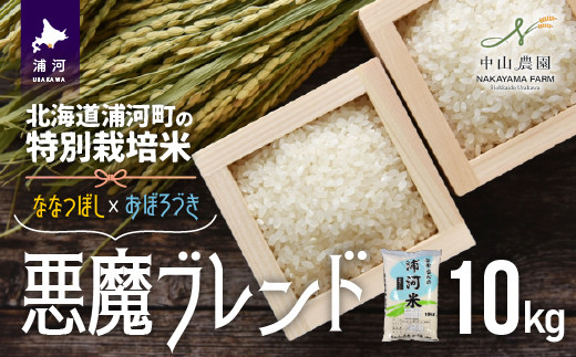 
【令和5年産】北海道浦河町の特別栽培米「悪魔ブレンド」精米(10kg×1袋)[37-1224]
