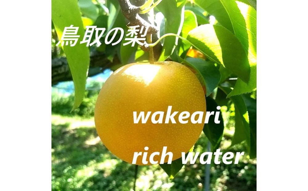 訳あり 豊水梨 5kg【まえた農園】 312011_BK003