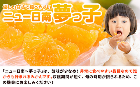 【先行予約】極早生みかん ニュー日南「夢っ子」10kg ｜みかんみかんみかん都呂々