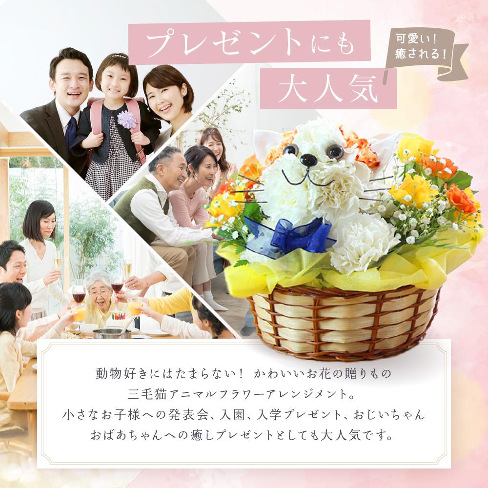 【ふるさと納税】アニマルフラワーアレンジメント 三毛猫 | 花 カーネーション ギフト お祝い ねこ フラワー 生花 プレゼント 可愛い インテリア 飛騨高山 下出生花店 BB004 | フラワー 植物 プラント 人気 おすすめ 送料無料