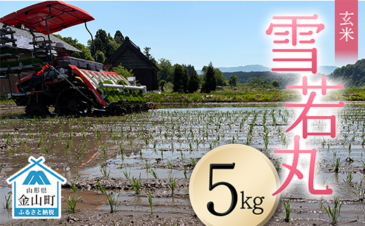 ＜先行予約＞令和8年産【玄米】雪若丸5kg（マイスター監修） 米 お米 白米 ご飯 ブランド米 山形 金山町 F4B-0771