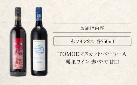 おすすめ 赤ワイン 2本セット 霧里ワイン TOMOE マスカットベーリーA 国産 やや甘口 ワイン 受賞 飲み比べ ワインセット ギフト 三次市 / 広島三次ワイナリー[APAZ009]