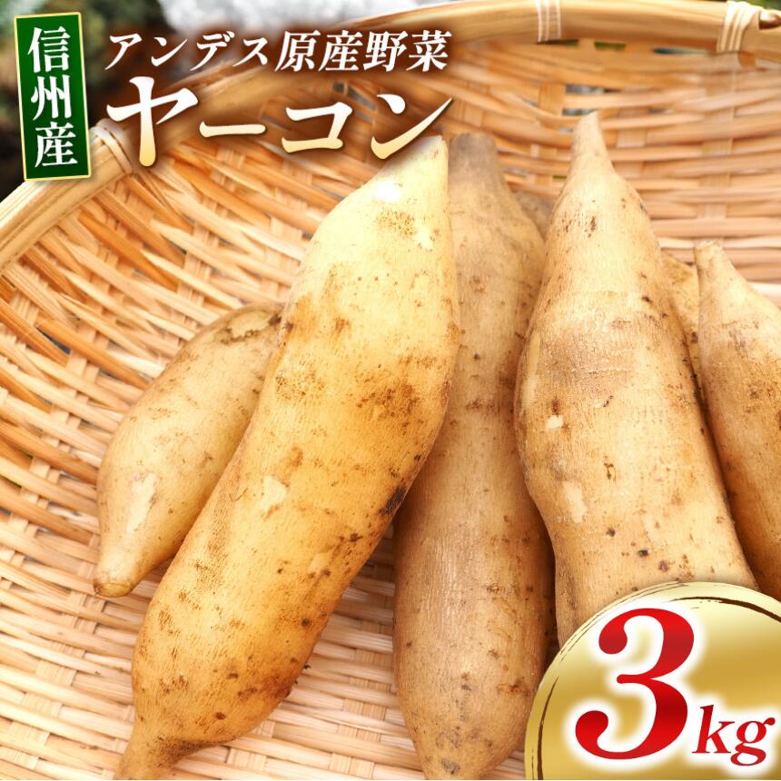 【ふるさと納税】【ありがとう農縁 福島】信州しおじり産 アンデス原産野菜 ≪自然栽培≫ ヤーコン3kg | やーこん ヤーコン フラクトオリゴ糖 イヌリン アンデス原産野菜 自然栽培 塩尻市 長野県 信州