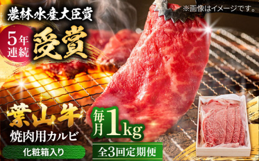【農林水産大臣賞 5年連続受賞歴有】【全3回定期便】 葉山牛 焼肉用カルビ1Kg  / 牛肉 牛 肉 お肉 国産 やきにく 焼き肉 カルビ かるび BBQ ブランド牛 和牛 黒毛和牛 国産牛 贈答 ギフト 冷凍 葉山 定期 定期便 【有限会社葉山旭屋牛肉店】 [ASAP041]