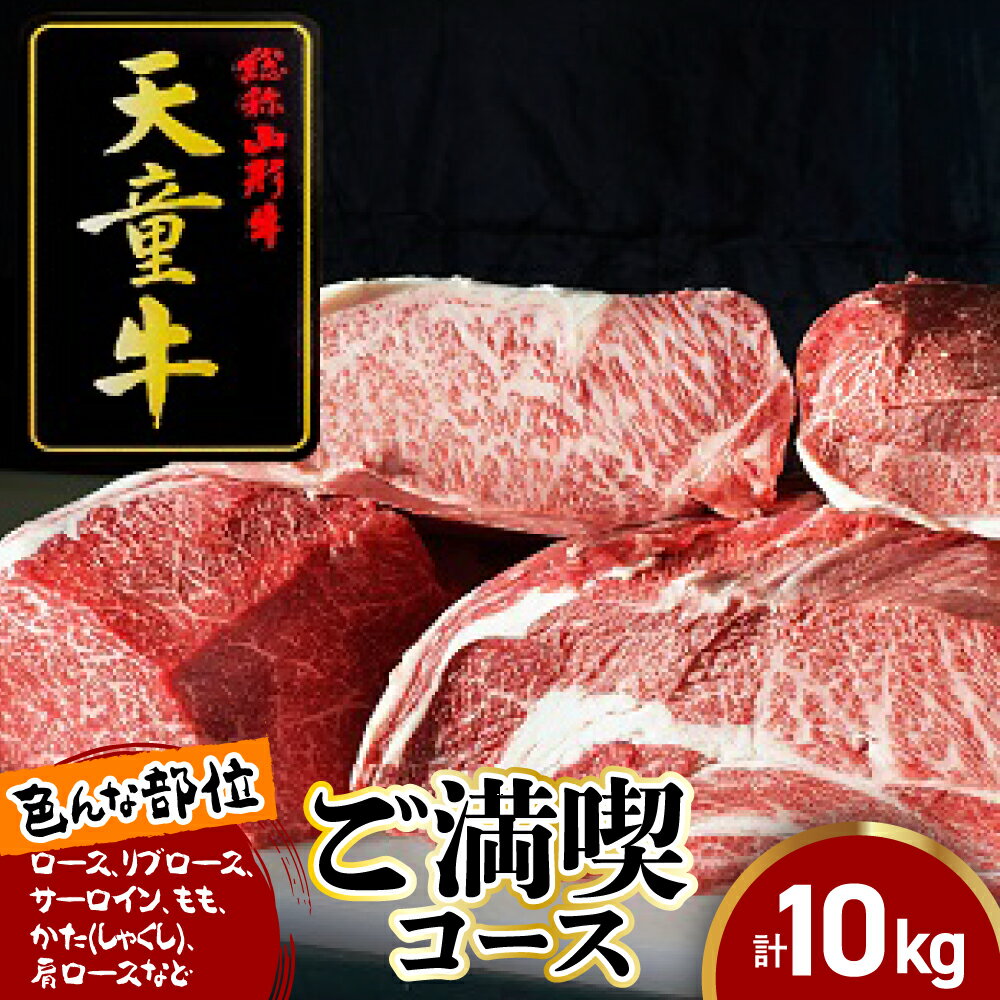 【ふるさと納税】 天童牛 ご満喫コース ロース リブロース サーロイン もも かた ( しゃくし ) 肩ロース 国産 黒毛和牛 和牛 牛肉 ブランド牛 山形牛 ご家庭用 のし 贈答 ギフト プレゼント お取り寄せ 冷凍 冷蔵 食品 送料無料 【 山形県 天童市 】