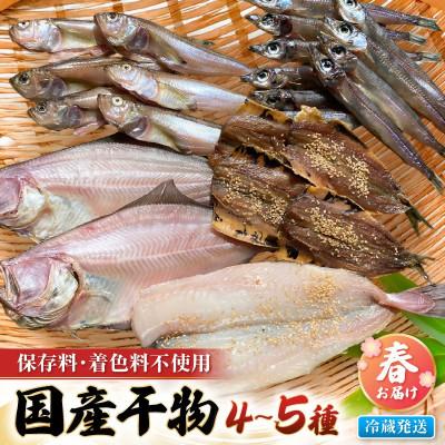 ふるさと納税 越前町 「先行予約」珍しい冷蔵発送!魚屋のこだわり干物「春にお届け干物セット」 保存料・着色料無添加