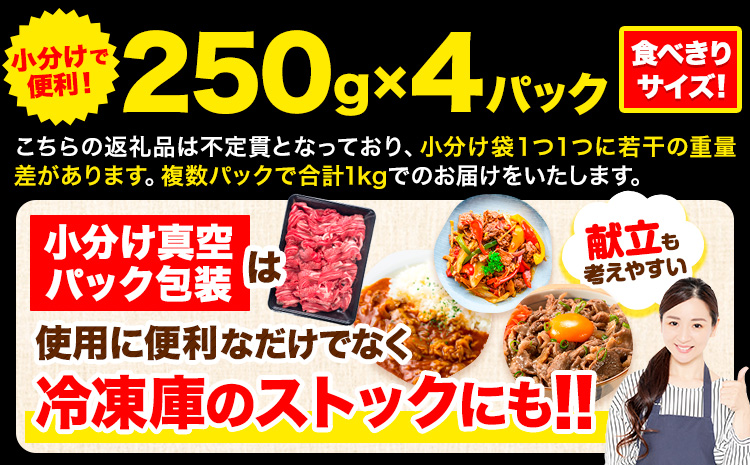 牛肉 肉 黒毛和牛 切り落とし 訳あり 大容量 小分け【定期便】 1kg 1パック 250g 12回 《お申込月の翌月より発送》岡山県産 岡山県 笠岡市 お肉 にく カレー 牛丼 切り落し 切落し 黒