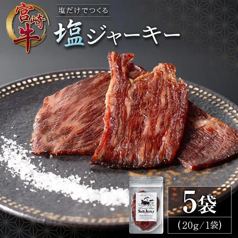 塩だけでつくる 宮崎牛 塩ジャーキー 5袋（20g×5袋）ブランド牛 ビーフジャーキー おつまみ 珍味 グルメ 干し肉 宮崎県産