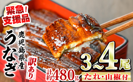 【緊急支援品】＜訳あり＞鰻の蒲焼き(無頭)(3～4尾・計約480g・タレ、山椒付) うなぎ ウナギ 鰻 国産 蒲焼 蒲焼き たれ 鹿児島 ふるさと 人気 支援【アクアおおすみ】【0154316a】