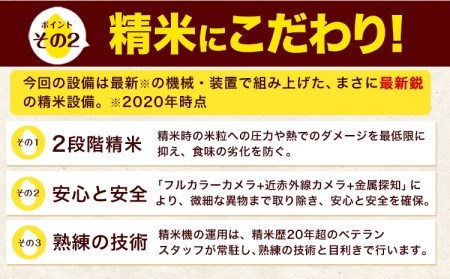 令和5年産 ひのひかり 白米 10kg 《7-14営業日以内に出荷予定(土日祝除く)》 5kg×2袋 熊本県産 米 精米 ひの 長洲町