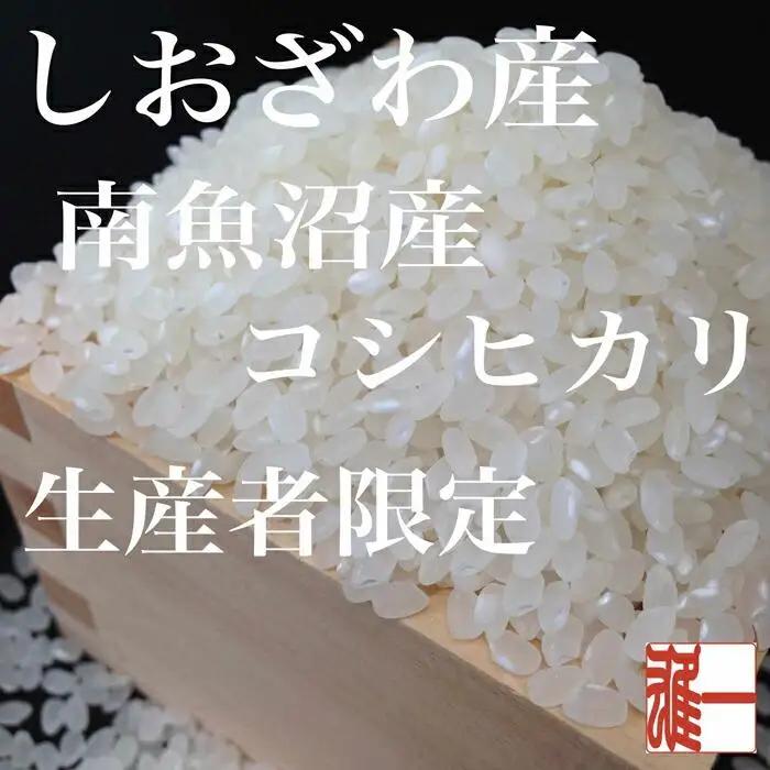 【令和7年産】【定期便：10Kg×6ヶ月】生産者限定 契約栽培 南魚沼しおざわ産コシヒカリ【定期便 銘柄米 ブランド米 精米 こしひかり コシヒカリ 魚沼産 新潟米 産地直送 お米 米 こめ コメ ご