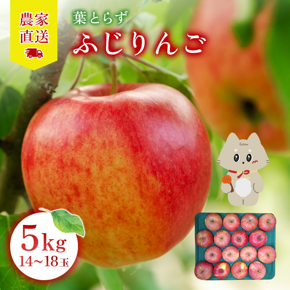 【ふるさと納税】【先行予約】《2026年12月上旬～12月下旬出荷》宮城県丸森町産　葉とらずふじりんご　14～18個入り（約5kg）　1箱 | ふじりんご ふじ 林檎 リンゴ フルーツ 果物 農家直送 蜜入り 旬 デザート ギフト 贈答 家庭用 お取り寄せ 宮城県 丸森町 丸森【48001】