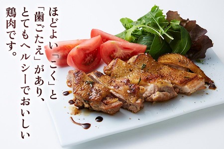 純系名古屋コーチン 定期便 (半羽×6回)【0277】