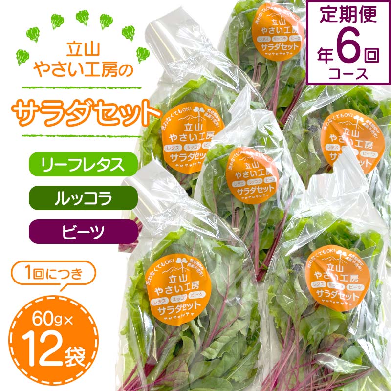 【ふるさと納税】＜定期便＞立山やさい工房のサラダセット 定期便年6回コース 各60g×12袋 ＜全6回＞ 定期便 6ヶ月連続 農薬不使用 新鮮 野菜 サラダ 小分け リーフレタス ルッコラ ビーツ セット 冷蔵 国産 食品 立山やさい工房 F6T-251