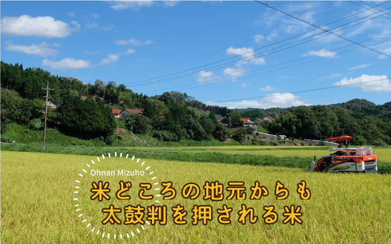 令和6年産 定期便-3ヶ月連続お届け 邑南町瑞穂産コシヒカリ10kg(5kg×2)