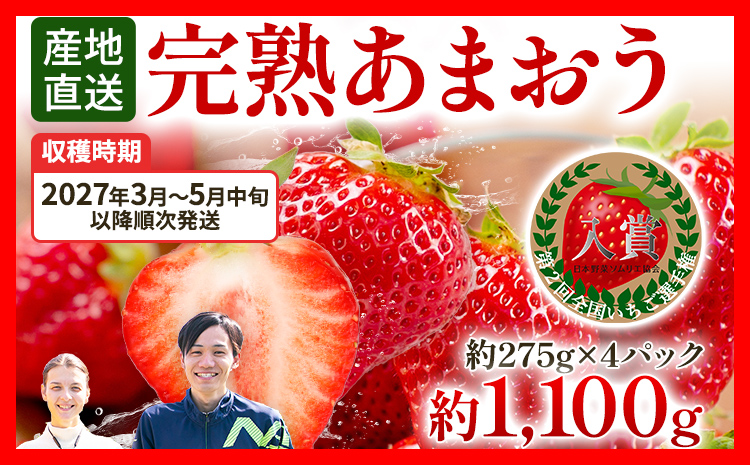 いちご あまおう 約1100g （約275g×4パック） 【先行受付／2027年3月～5月中旬順次発送予定】