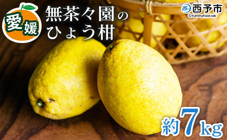 ＜無茶々園のひょう柑 約7kg＞ フルーツ 果物 蜜柑 柑橘 ひょうかん 弓削瓢柑 期間限定 季節限定 特産品 愛媛県 西予市
