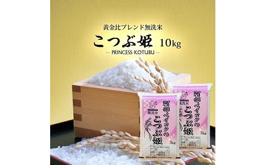 1252R07M10c　無洗米 こつぶ姫 5kg×2袋 計10kg　10月下旬