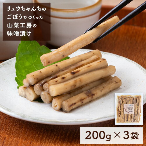【ふるさと納税】漬物 ごぼう 漬け物 リュウちゃんちの ごぼう でつくった 山菜工房 の 味噌漬け 200g×3袋 株式会社FF工房 《2月上旬頃から出荷》 北海道 浦幌町 ギフト 贈り物 ご飯のお供 つけもの 漬けもの 送料無料
