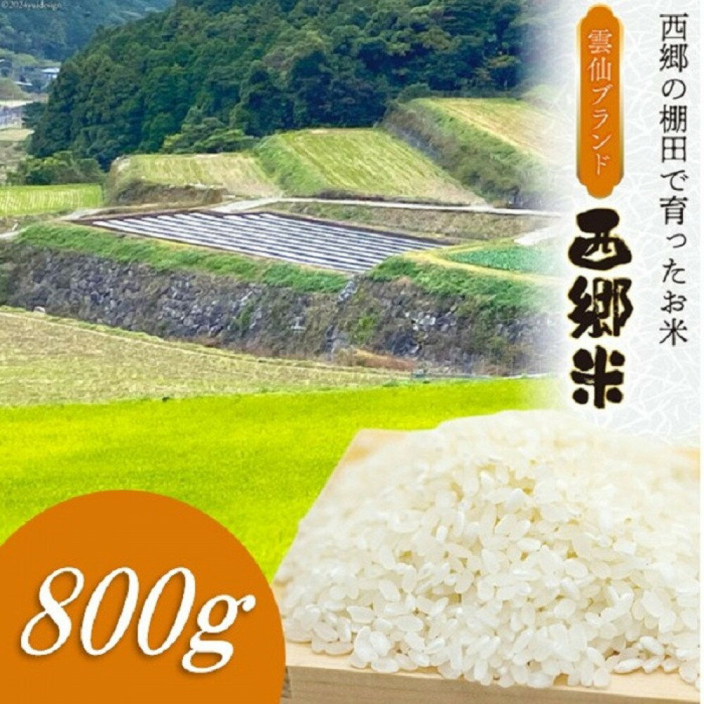 【ふるさと納税】雲仙ブランド認定商品　「西郷米」白米　800g