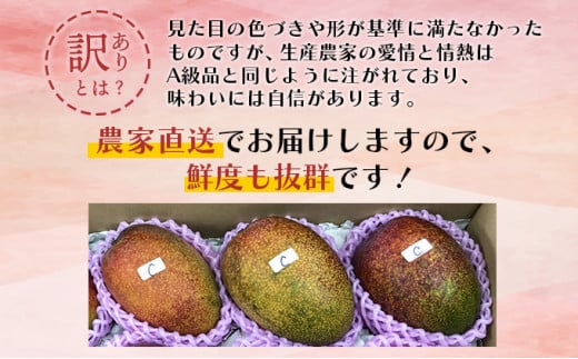 【やました農園】＜先行予約＞【生産者応援】糖度13度以上！平均15度以上！ご家庭用 宮崎完熟マンゴー1.5～1.7 kg（2Lサイズ2玉入の約2倍！）【訳ありＣ級品ですが糖度も十分です！】 KU472