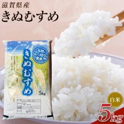 ふるさと納税 甲賀市 【令和7年産】近江米きぬむすめ白米5kg