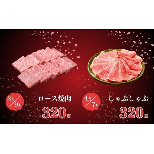 【金曜が待ち遠しい！ご褒美グルメ♪】佐賀牛3～4人前 フライデーナイト 毎月金曜の夜に届く 花金定期便 第2弾 12回コース【有田まちづくり公社】週末受取OK 佐賀牛 牛肉 黒毛和牛 極上の佐賀牛 厳