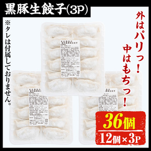 No.1327-n ＜3ヶ月以内に発送＞鹿児島黒豚使用の黒豚生餃子(計36個・12個入り×3パック)国産 九州産 ぎょうざ ギョウザ 冷凍 黒豚 豚肉 お肉 おかず【末永商店】【429】【861】