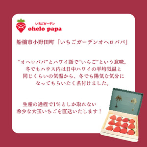 いちご 大粒 24個 イチゴ 苺 かおり野 紅ほっぺ 予約 先行予約 先行受付 数量限定 期間限定 限定果物 フルーツ 予約 ギフト 贈答