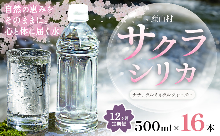 【12ヶ月定期便】サクラシリカ 500ml 16本 定期便 みずの里《お申込み翌月から出荷》熊本県 阿蘇郡 産山村 ミネラルウォーター シリカ 水 天然水 鉱水 ラベルレス ラベルなし