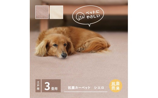 【ブラウン】ペットにもやさしい 抗菌。防臭カーペット シエロ 江戸間3帖 1枚 600094530
