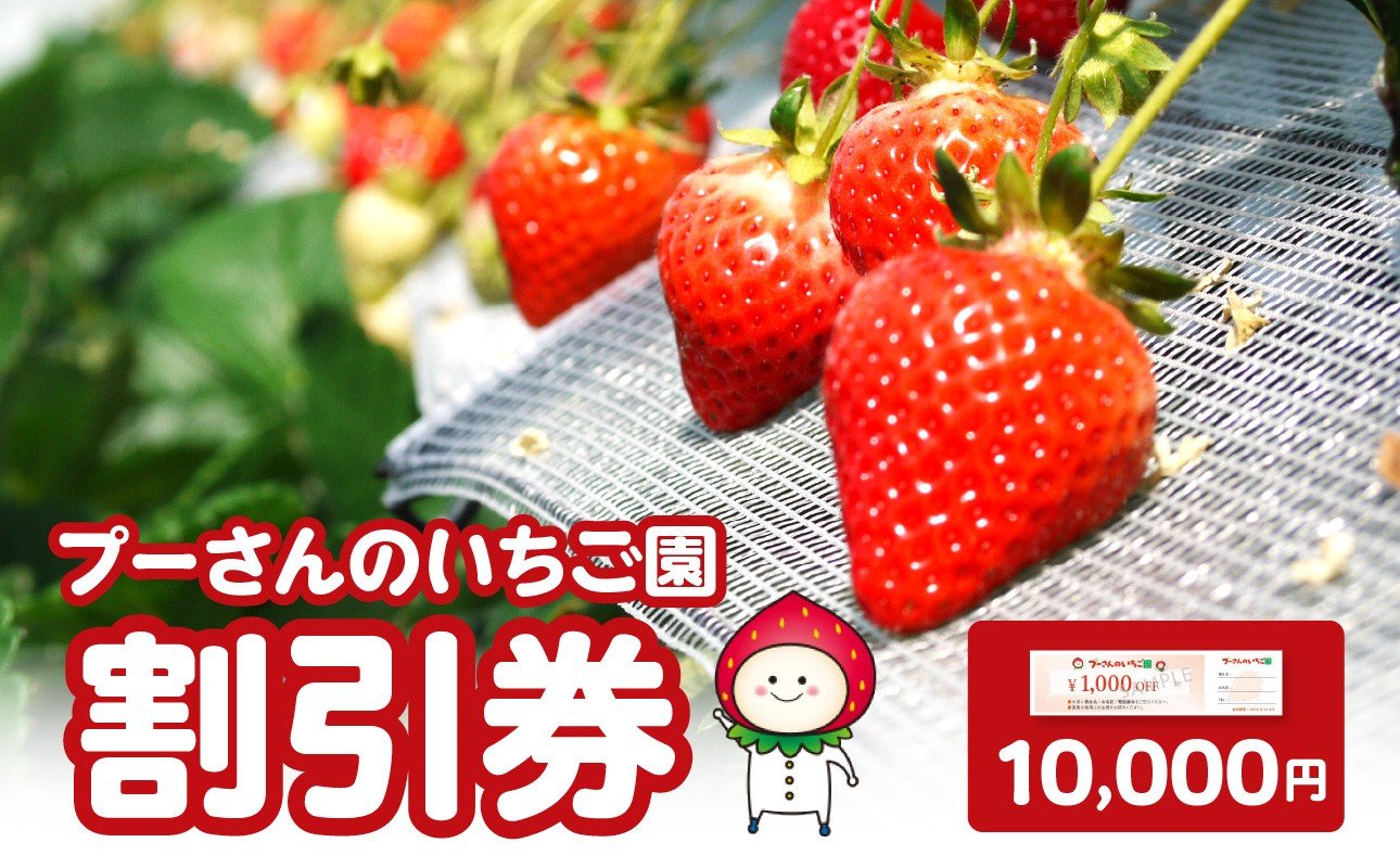 
            プーさんのいちご園　割引券（10,000円分）【レターパック】 イチゴ狩り あまおう 恋みのり 紅ほっぺ さがほのか かおり野 おいCベリー あまえくぼ よつぼし 高設栽培 多段式 バリアフリー 車椅子 子供 品種 完熟 摘みたて 新鮮 家族 清潔 福岡県 八女市
          