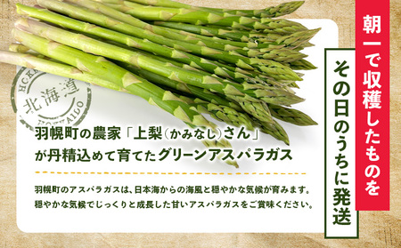 朝採り発送 かみなしさんのグリーンアスパラ 1kg（Lサイズ以上）【32002】